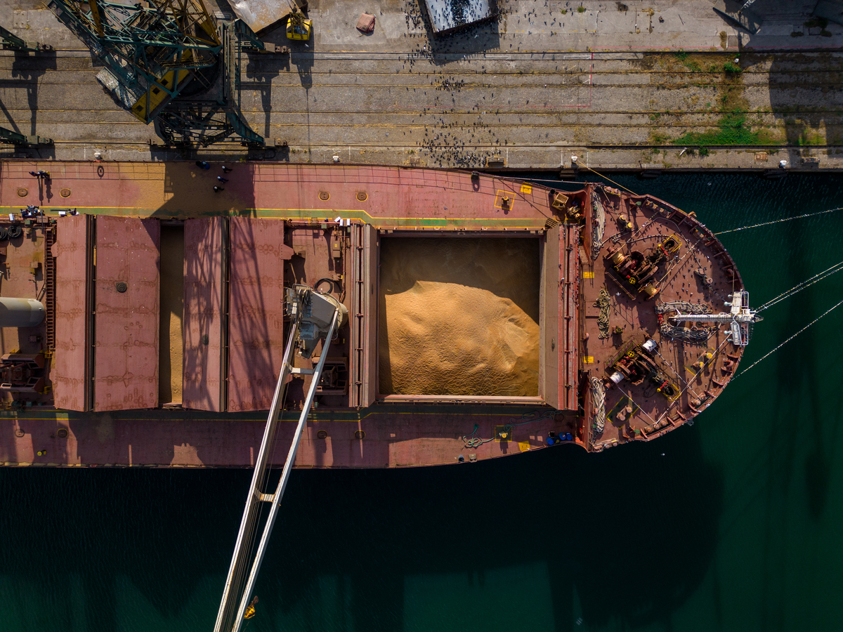 Bulk Cargo